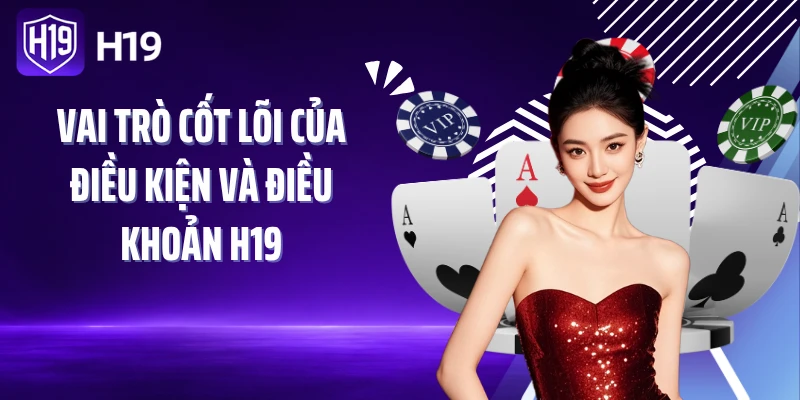 Vai trò cốt lõi của điều kiện và điều khoản H19